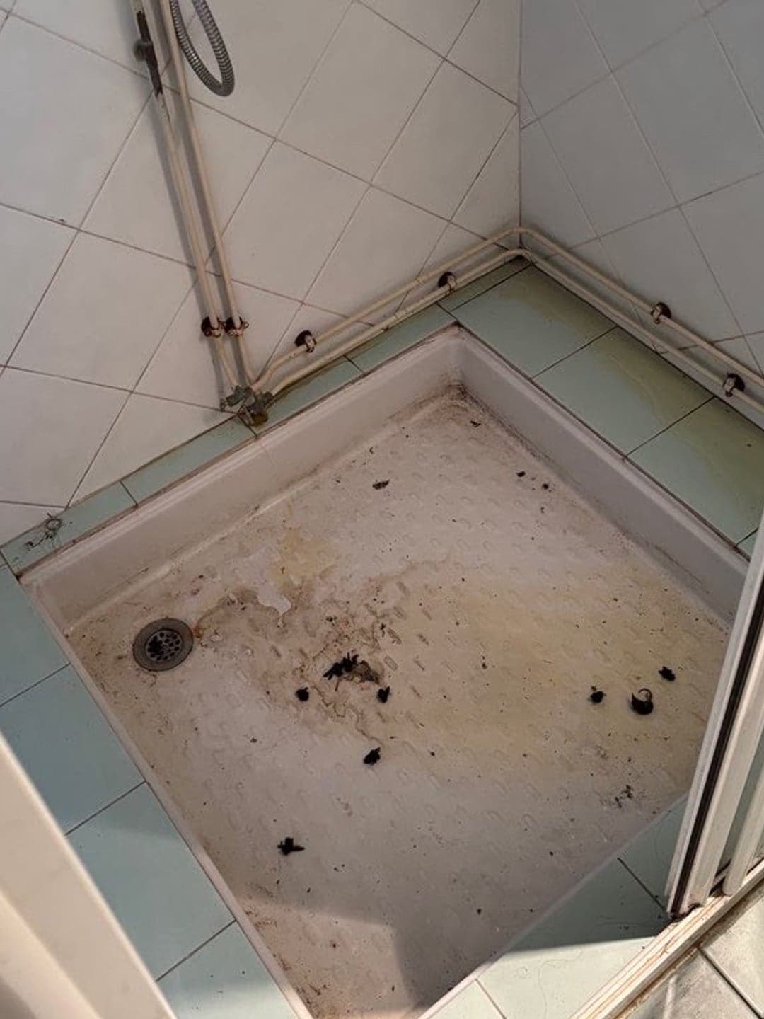 Bac de douche taché et pourtour entartré