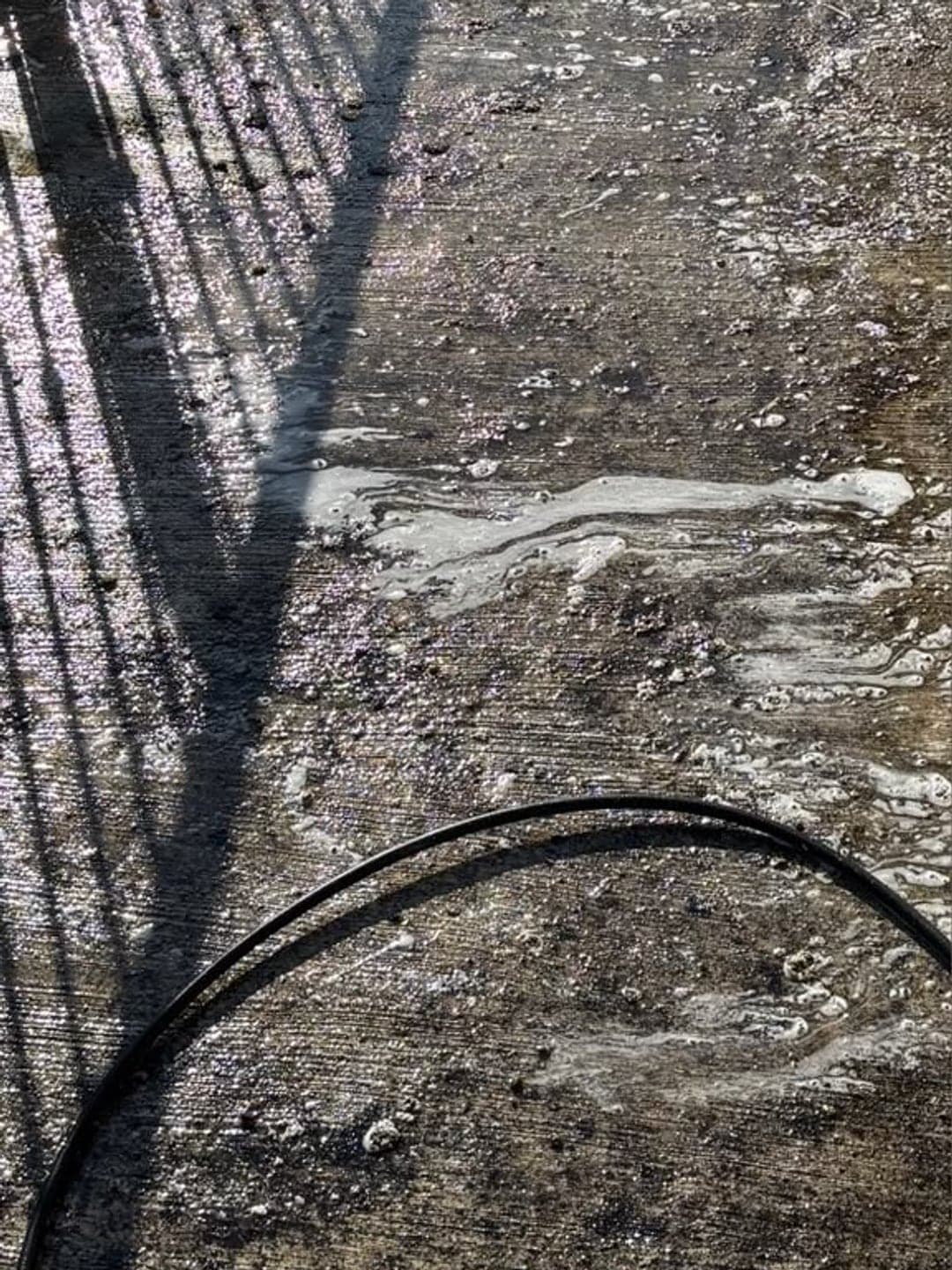 Cheminement extérieur en béton couvert de mousse